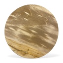 tisch_versteinertes_holz__2_.jpg