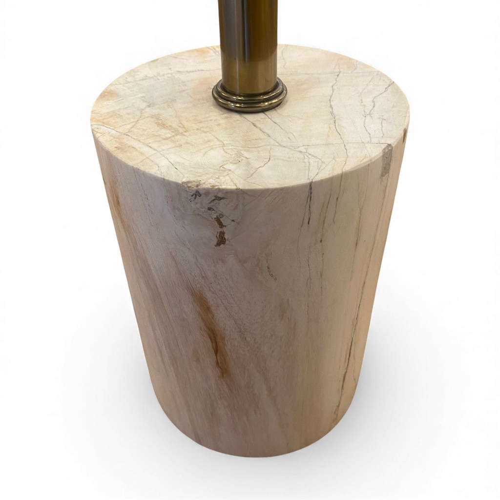 tisch_versteinertes_holz__3_.jpg