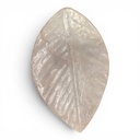 schale_leaf_capiz (2).jpg