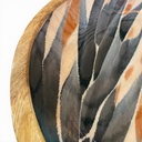 schale_agave (1).jpg