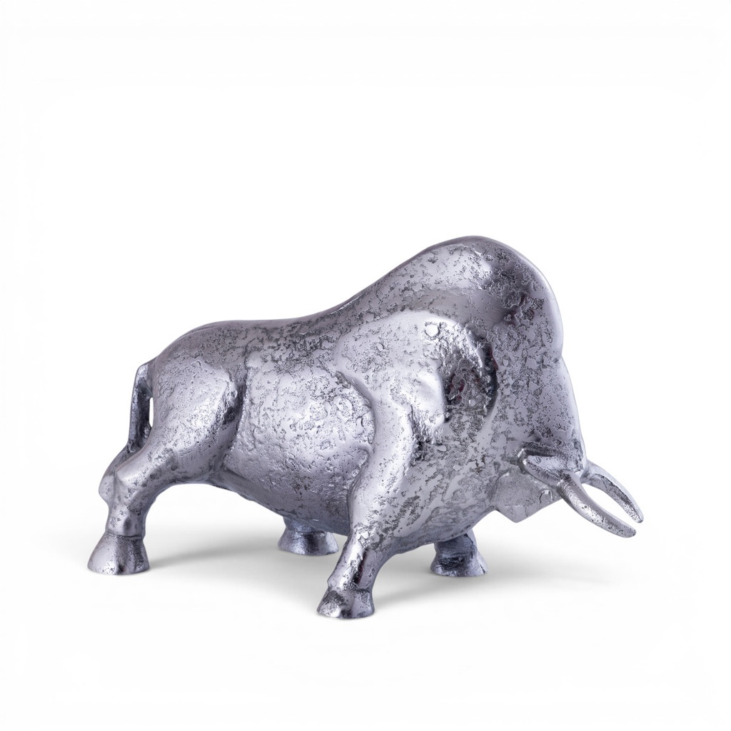 bulle_alu_silber.jpg