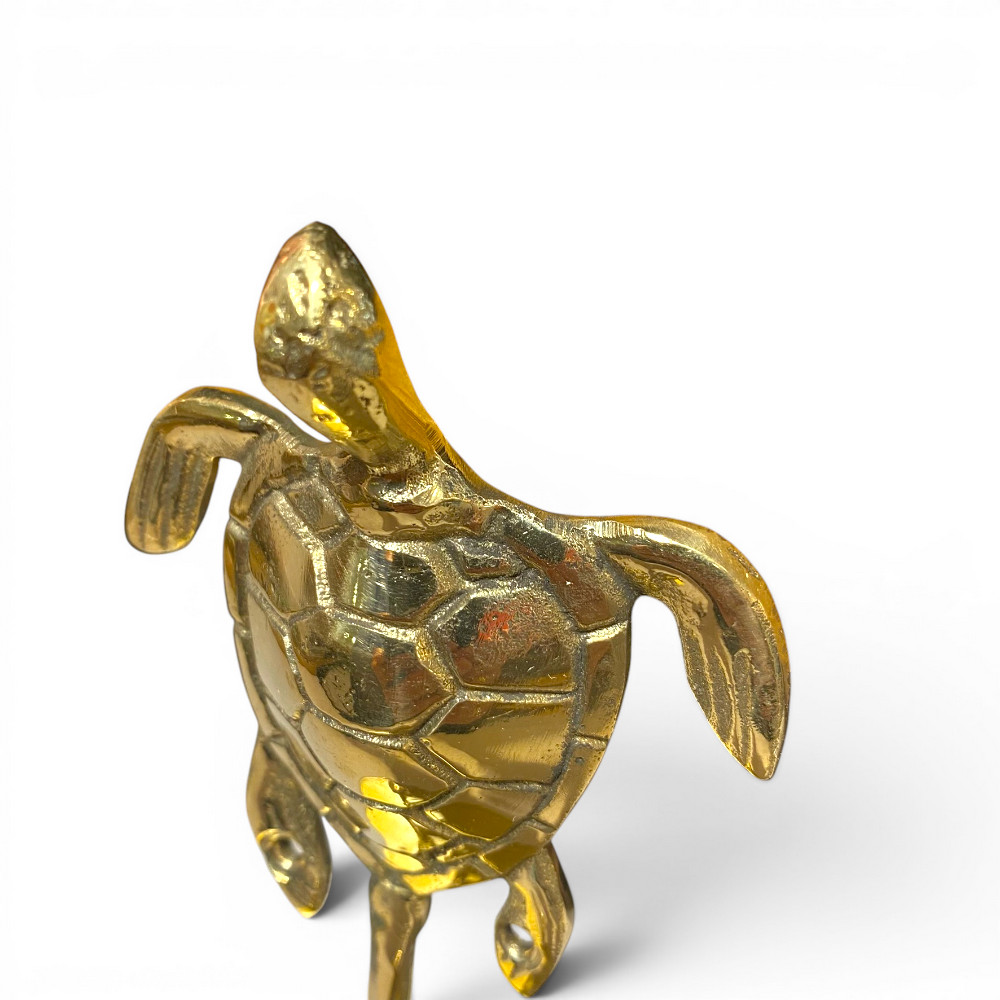 wandhaken_schildkröte (3).jpg