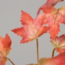 170237_Product.jpg