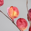 150275_Product.jpg