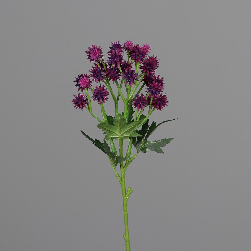 DISTELZWEIG dunkelpink