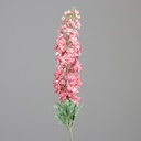 DELPHINIUM mauve