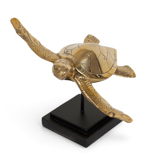 [P0016659] SCHILDKRÖTE