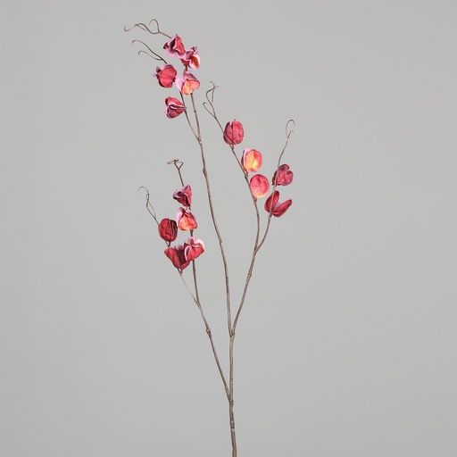 [P0016735] BLÜTENZWEIG 124cm rot