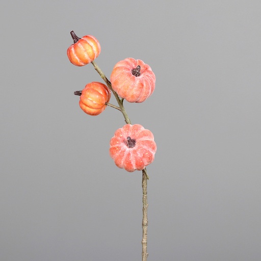 [P0016736] KÜRBISZWEIG 63cm