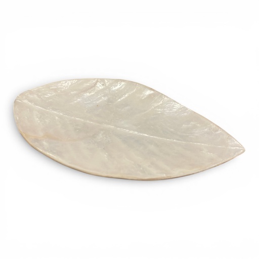 [P0006214] Schale LEAF Capiz